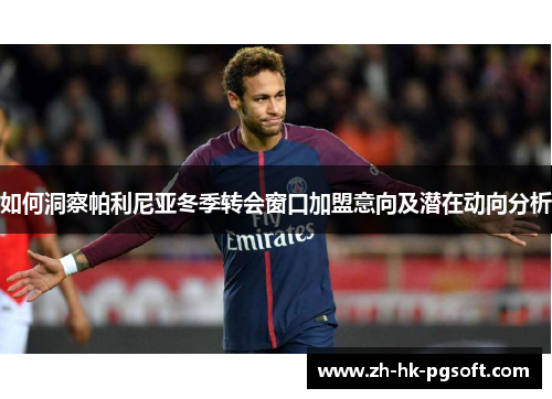 如何洞察帕利尼亚冬季转会窗口加盟意向及潜在动向分析
