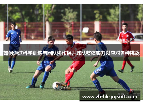 如何通过科学训练与团队协作提升球队整体实力以应对各种挑战
