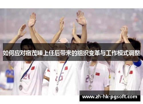 如何应对宿茂臻上任后带来的组织变革与工作模式调整