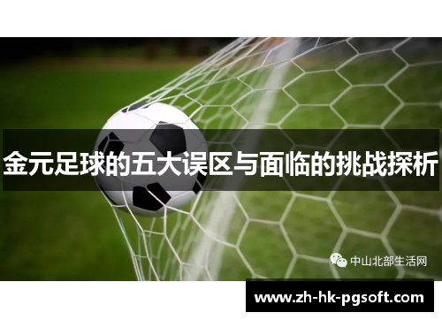 金元足球的五大误区与面临的挑战探析