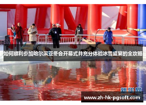 如何顺利参加哈尔滨亚冬会开幕式并充分体验冰雪盛宴的全攻略