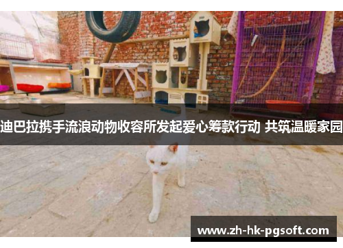 迪巴拉携手流浪动物收容所发起爱心筹款行动 共筑温暖家园