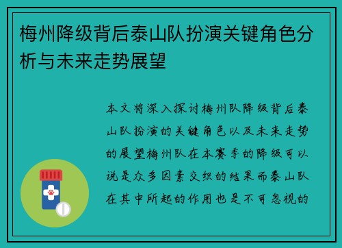 梅州降级背后泰山队扮演关键角色分析与未来走势展望